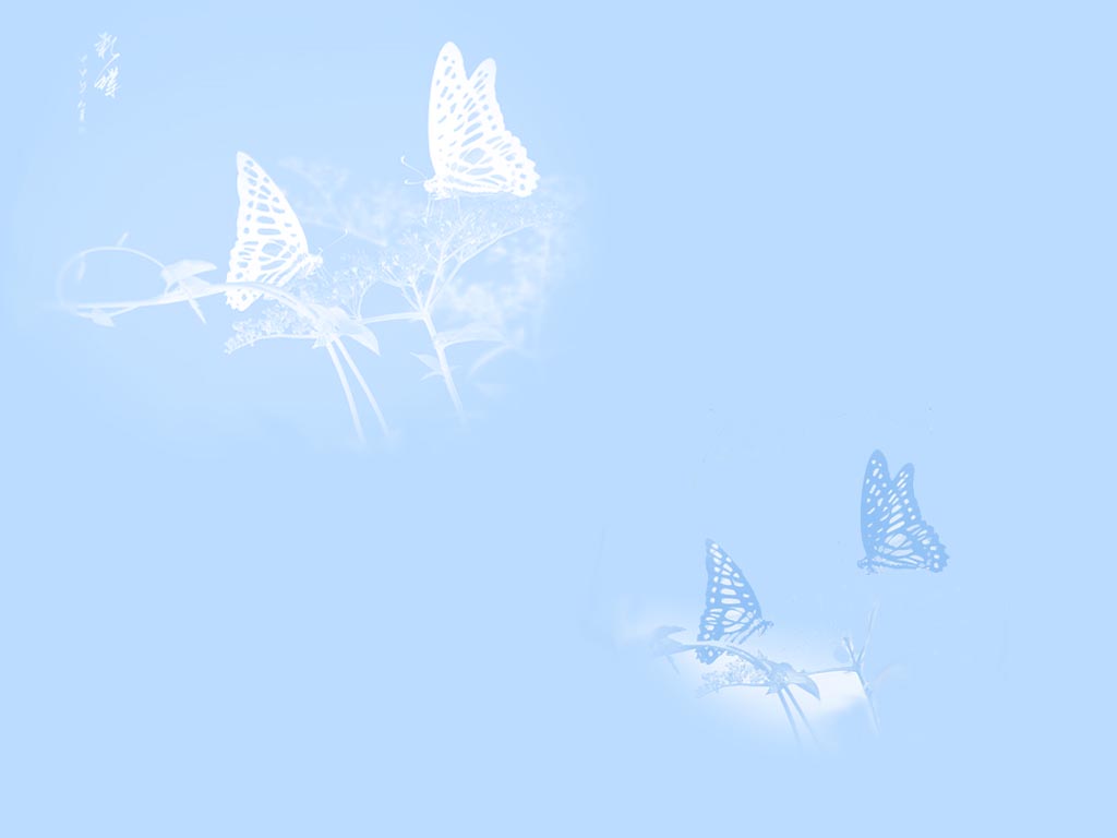 WebRoot/images/butterfly.jpg