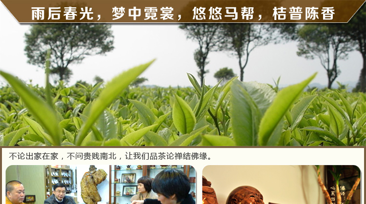 src/main/webapp/upload/editor/1464250177772.jpg